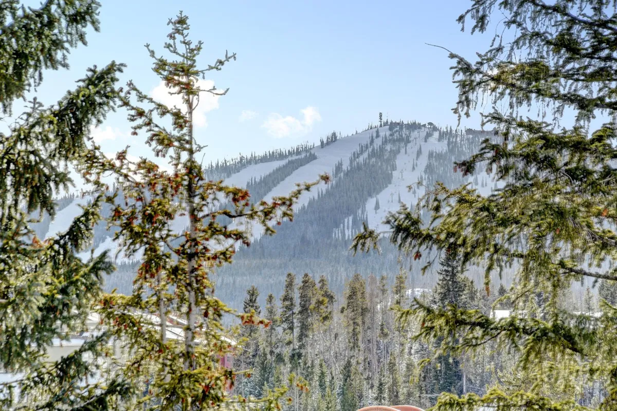 This image captures a snow-covered mountain peak surrounded by dense evergreen trees beneath a clear blue sky. The scene is tranquil, pristine, and evocative of classic mountain adventures with potential for skiing, hiking, and nature exploration.